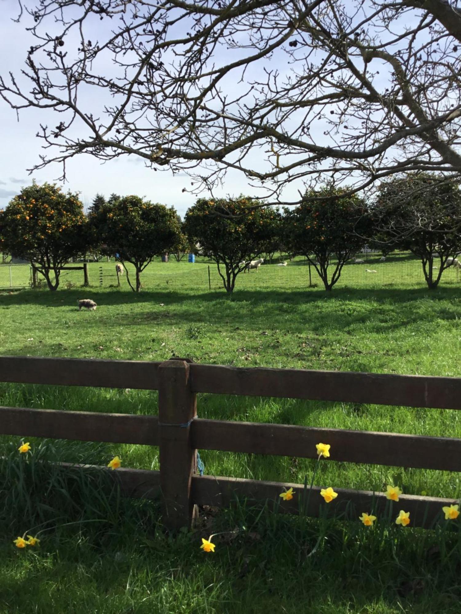 Brightwater Leedale Bed & Breakfast エクステリア 写真